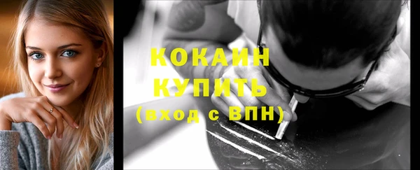 кокс Алексин