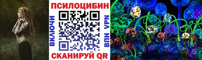 как найти закладки Сенгилей Галлюциногенные грибы прущие грибы